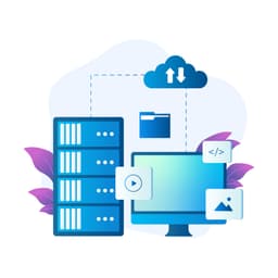 Domain & Hosting